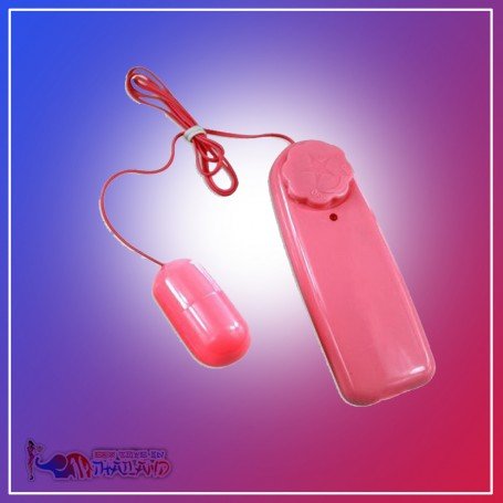 Bullet Vibrator 2 in 1 BV-008
