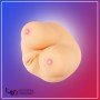 Big Sexy Breast with Nipple & Pussy BAV-015