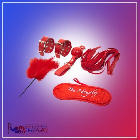 BDSM SEX KIT Bracelet+Whip+Goggles+Feather+Mouth Ball Gag BDSM-001
